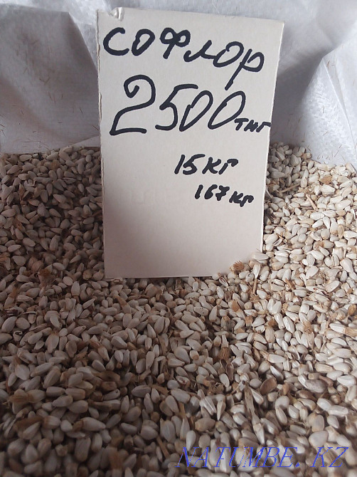 Корма для животных и птиц Костанай - изображение 3