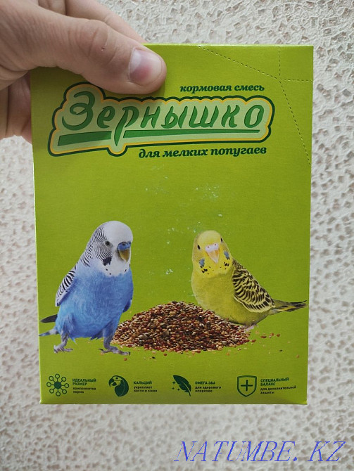 Кормавая смесь зёрнышко для мелких попугаев Кокшетау - изображение 1