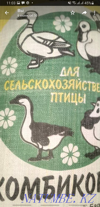 4300t. Chicken feed Semey - photo 1