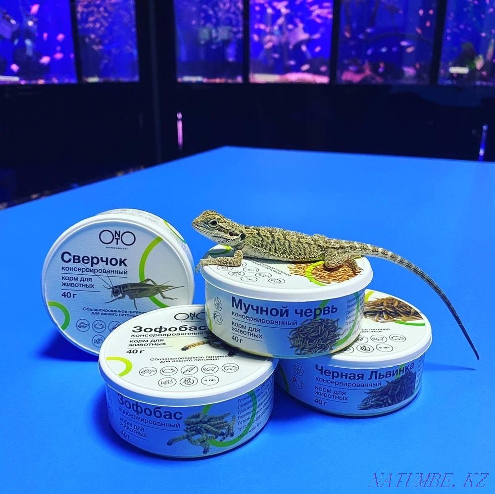 Корм "ONTO" для рептилий в "ЖИВОМ УГОЛКЕ" в Таугуле Алматы - изображение 1
