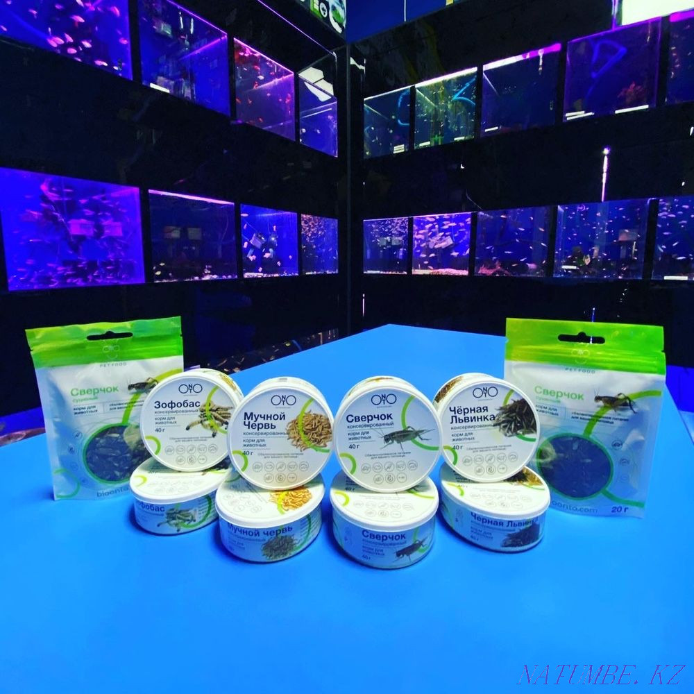 Корм "ONTO" для рептилий в "ЖИВОМ УГОЛКЕ" в Таугуле Алматы - изображение 3