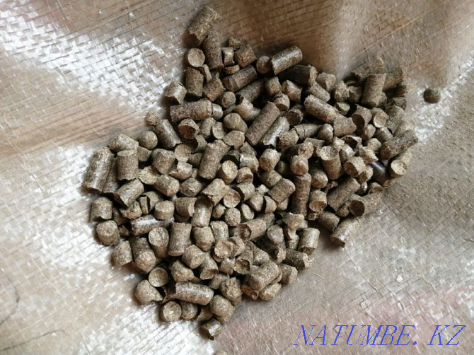 Let's make, I will sell compound feed granulated for animals and birds Petropavlovsk - photo 1