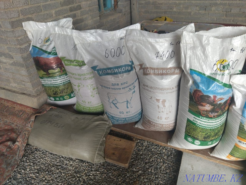 Sale of "Kora Vostoka" address "Baktybay village st. Konaev 23" Taldykorgan - photo 1