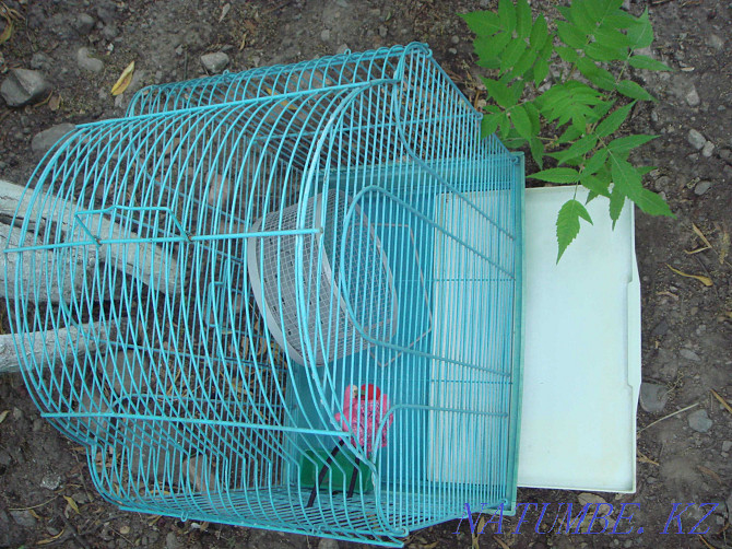 Beautiful Large Cage for birds - hamsters - pigs and other animals Almaty - photo 4