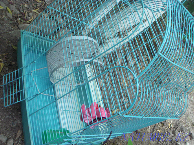 Красивая Большая Клетка для птиц - хомяков -свинок и других животных Алматы - изображение 2