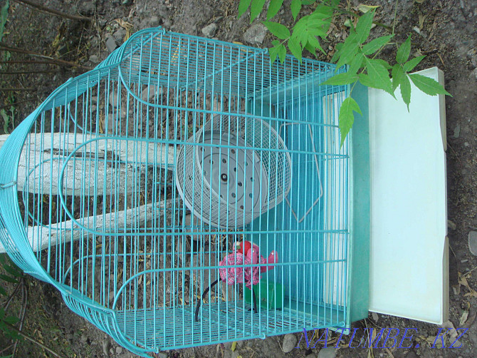 Beautiful Large Cage for birds - hamsters - pigs and other animals Almaty - photo 3