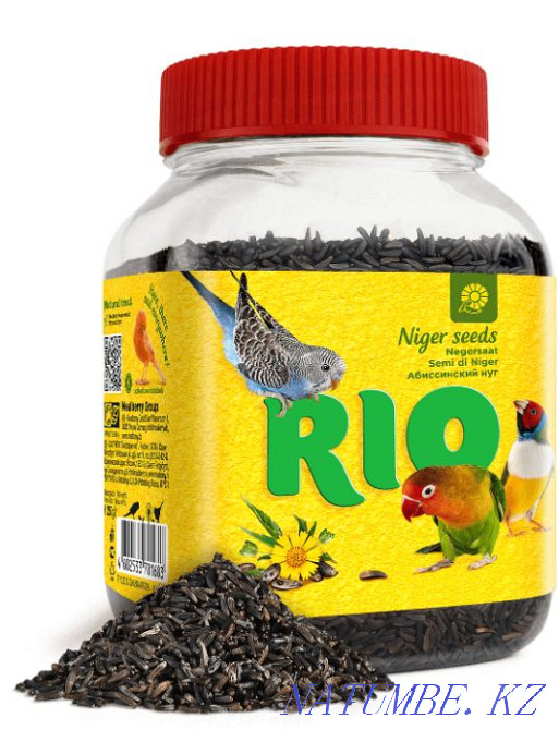 RIO Set for sprouting in the pet store "LIVOY WORLD" Almaty - photo 4