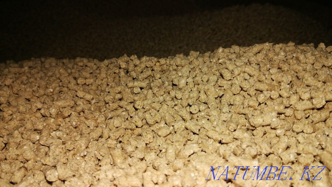Forage enriched, extruded in granules. 40% less consumption Astana - photo 3