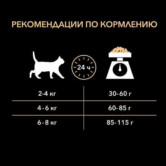 Purina Delicate корм с индейкой для кошек в зоомагазине "ЖИВОЙ МИР"  Алматы