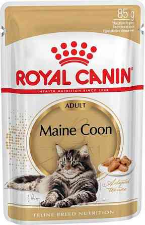 Супер-премиум корма для кошек Royal Canin в зоомагазине "ЖИВОЙ МИР" Almaty