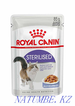Super-premium food for cats Royal Canin in the pet store "LIVOY WORLD" Almaty - photo 2