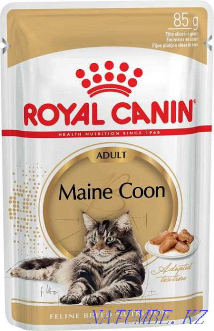 Супер-премиум корма для кошек Royal Canin в зоомагазине "ЖИВОЙ МИР" Алматы - изображение 1