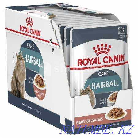 Супер-премиум корма для кошек Royal Canin в зоомагазине "ЖИВОЙ МИР" Алматы - изображение 4