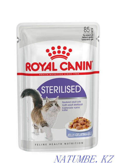 Супер-премиум корма для кошек Royal Canin в зоомагазине "ЖИВОЙ МИР" Алматы - изображение 2
