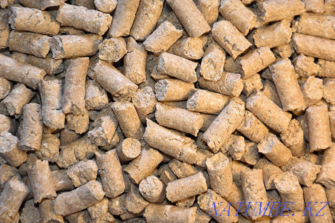 Barley, oats, wheat extruded (eco-feed). 40% less consumption Astana - photo 2