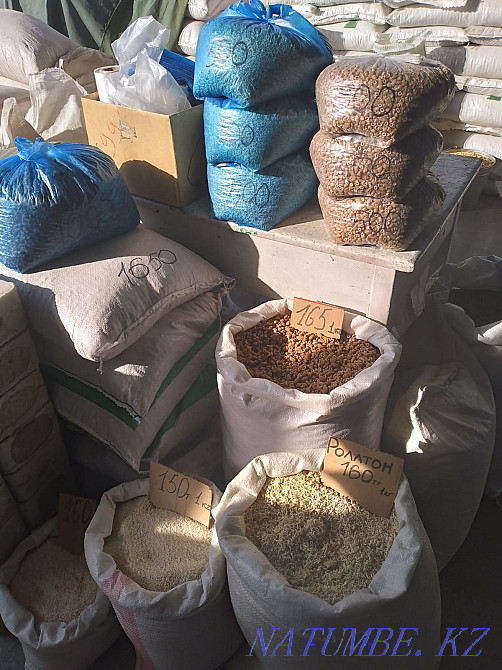 Cattle feed station 326 Ush-Tyube - photo 4