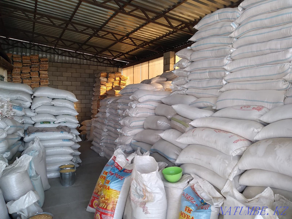 Cattle feed station 326 Ush-Tyube - photo 2