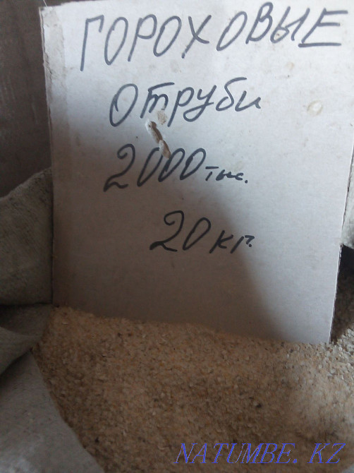 Sunflower seeds Kostanay Kostanay - photo 4