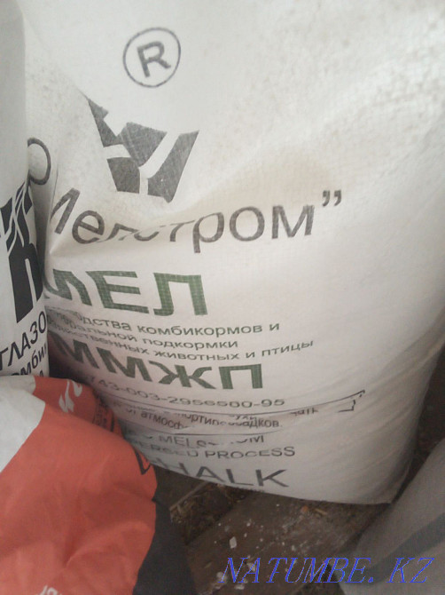 Sunflower seeds Kostanay Kostanay - photo 3