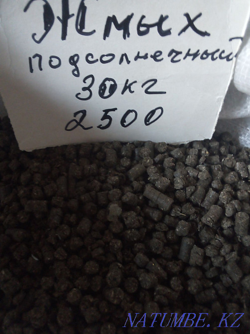 Sunflower seeds Kostanay Kostanay - photo 2