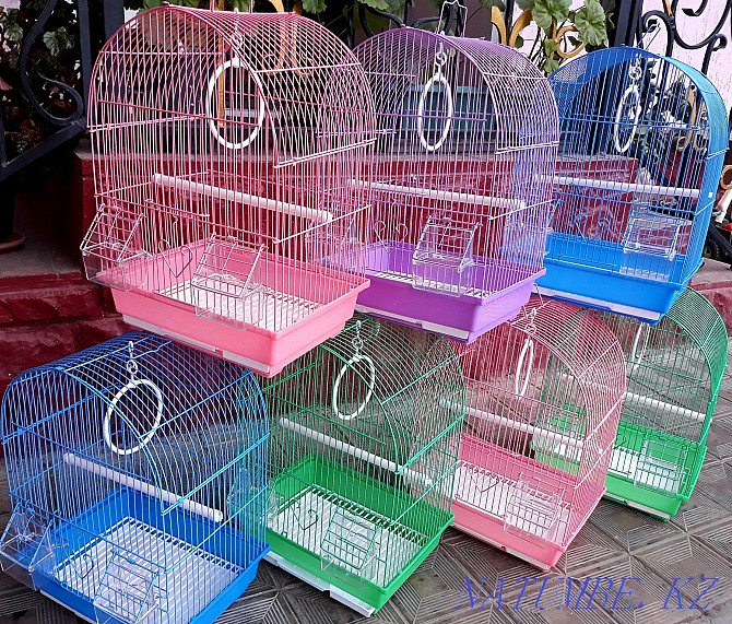 Original bird cages Shymkent - photo 3