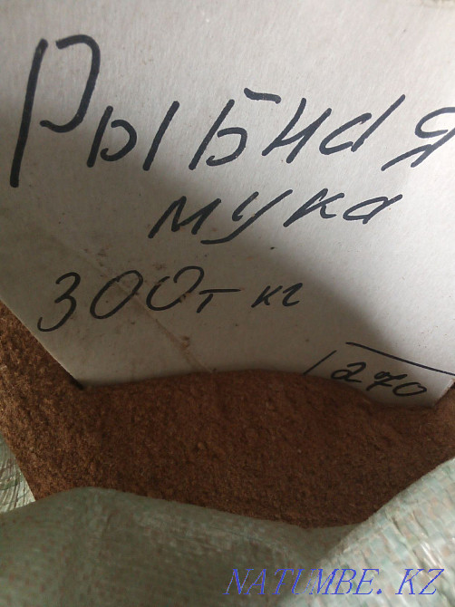 Meat and bone meal Kostanay Kostanay - photo 2