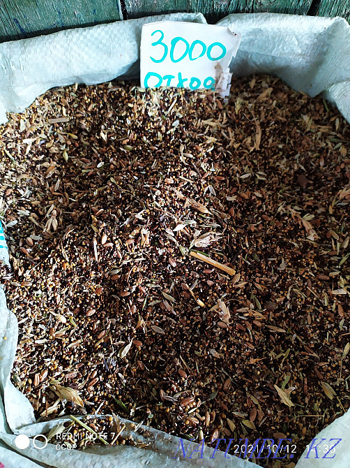 Зерно отход , тонна 70 тыс Кокшетау - изображение 2