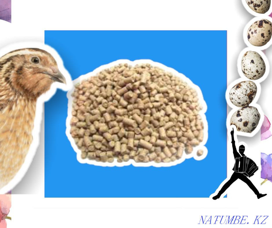 Комбикорм для перепелов качественный проверенный корм производство Семей - изображение 3