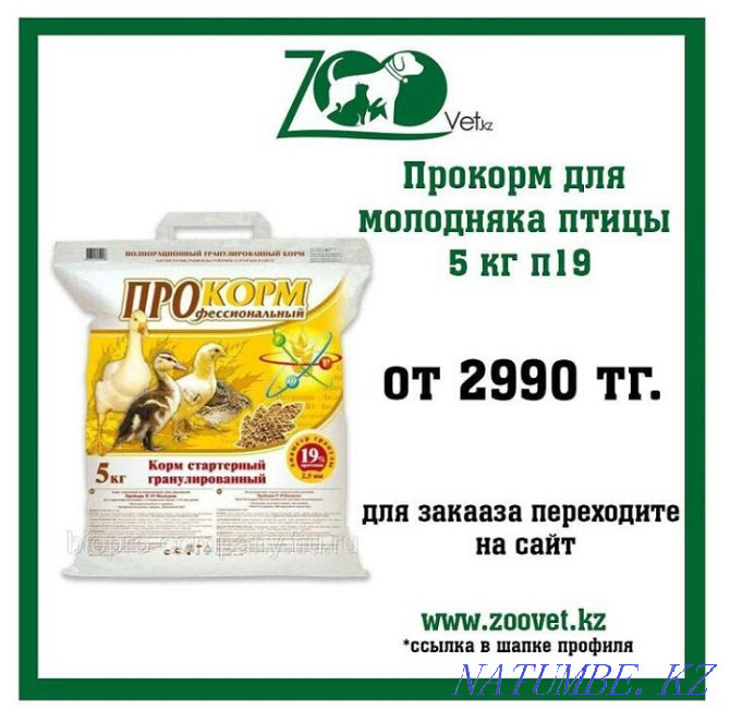 Feed for young birds 5 kg. Semey - photo 1