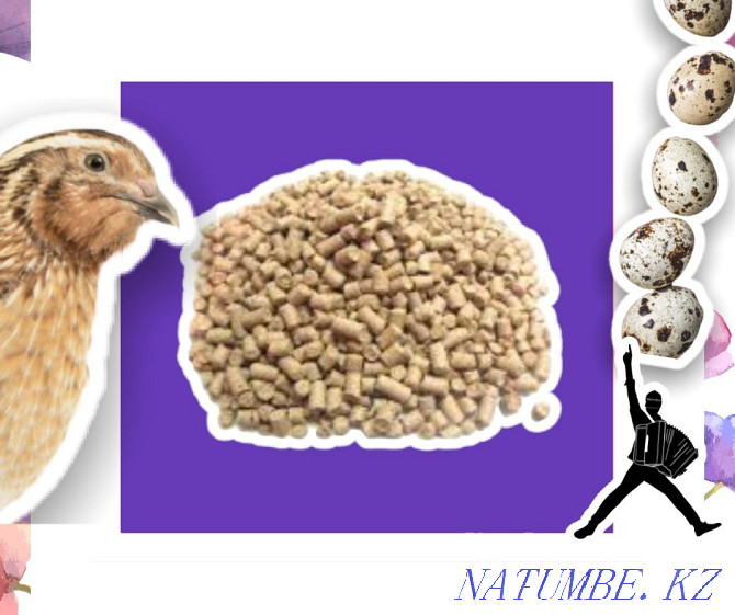 Compound feed for quails wholesale price quality fresh feed Petropavlovsk - photo 2