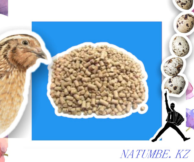 Compound feed for quails wholesale price quality fresh feed Petropavlovsk - photo 1
