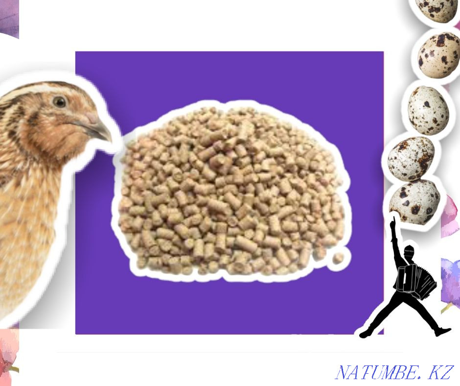 Комбикорм для перепелов оптовая цена корм качественный свежий Петропавловск - изображение 2
