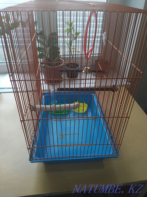 Продам клетку для питомца Рудный - изображение 2
