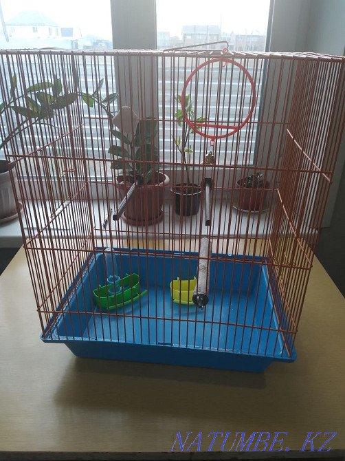 Продам клетку для питомца Рудный - изображение 1