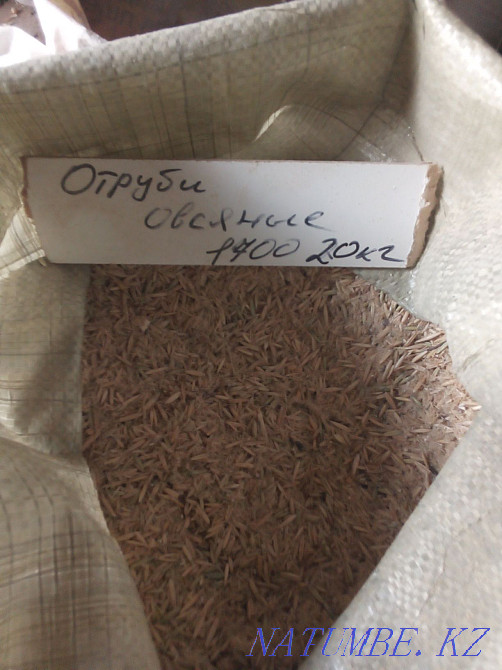 Crushed oats Kostanay Kostanay - photo 1