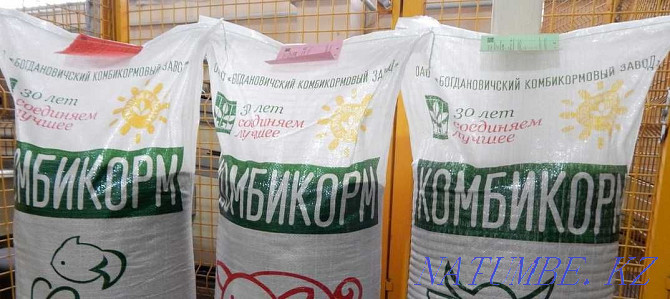 Compound Feed for Poultry from Bogdanovichi Feed Plant Kokshetau - photo 2