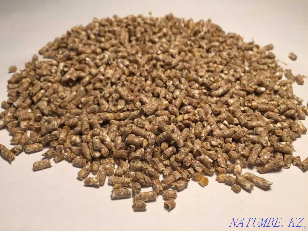 Комбикорм Для Птицы от Богдановичского Комбикормового Завода Кокшетау - изображение 3