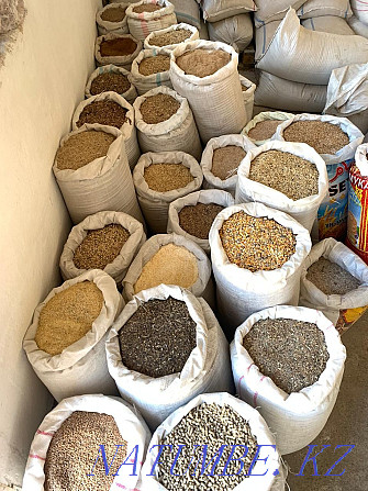 Grain waste and all types of feed Kokshetau - photo 1