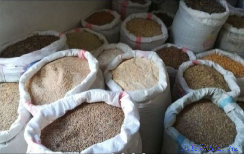 Зерноотходы и все виды кормов Кокшетау - изображение 2