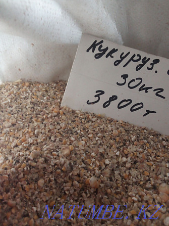 Dry oats In bags Kostanay Kostanay - photo 4