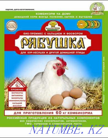Ryabushka for poultry 300 gr Shymkent - photo 1