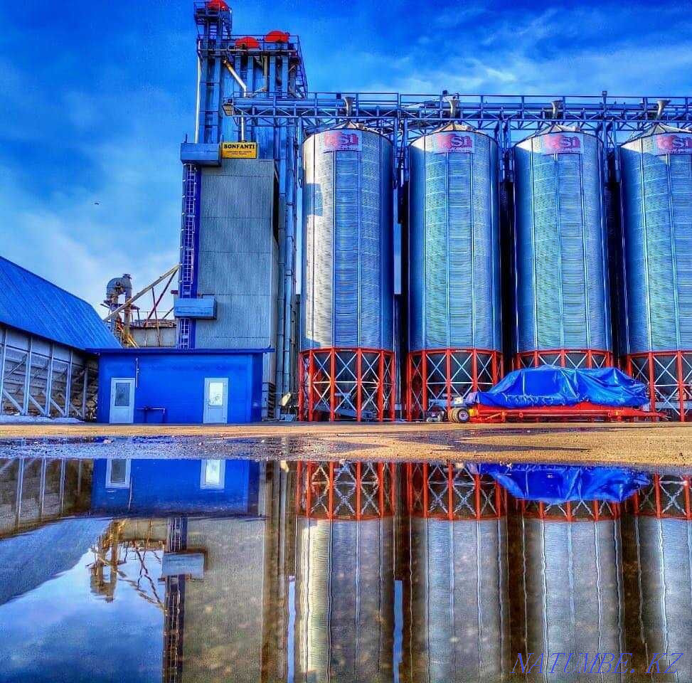 Комбикорм,стартовый корм,стартовый комбикорм,комбикорм для бройлеров Петропавловск - изображение 2