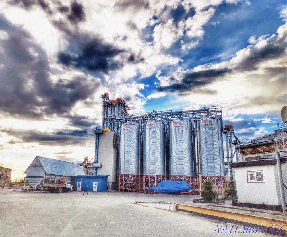 Комбикорм,стартовый корм,стартовый комбикорм,комбикорм для бройлеров Петропавловск - изображение 4