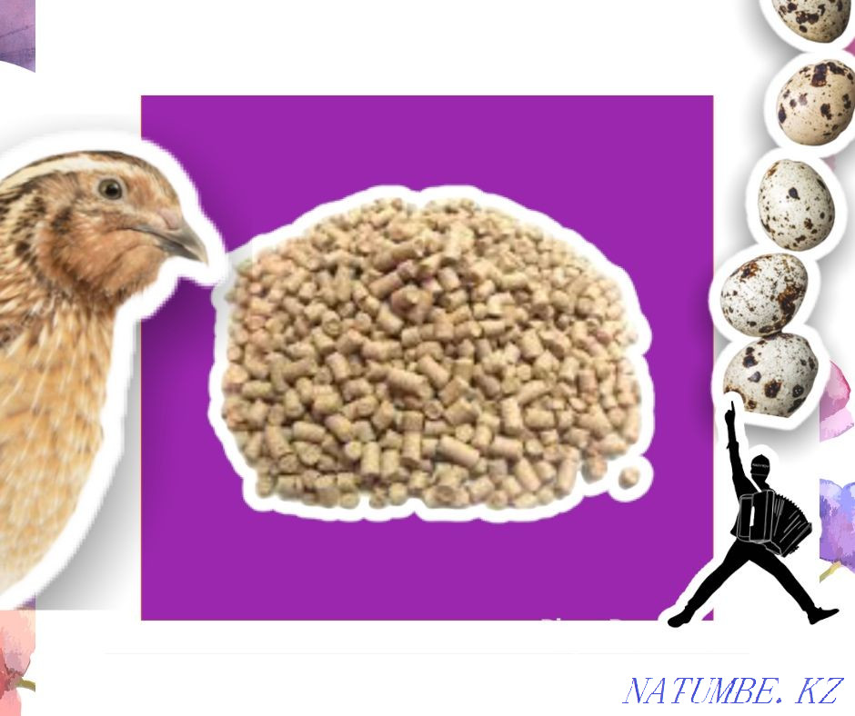 Бөденелерге арналған құрама жем тек көтерме саудада аяқталады  Қостанай  - изображение 1