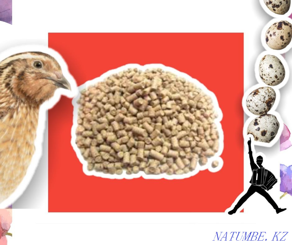 Бөденелерге арналған құрама жем тек көтерме саудада аяқталады  Қостанай  - изображение 2