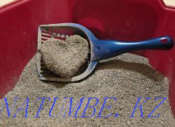 Комкующийся наполнитель Алматы - изображение 1