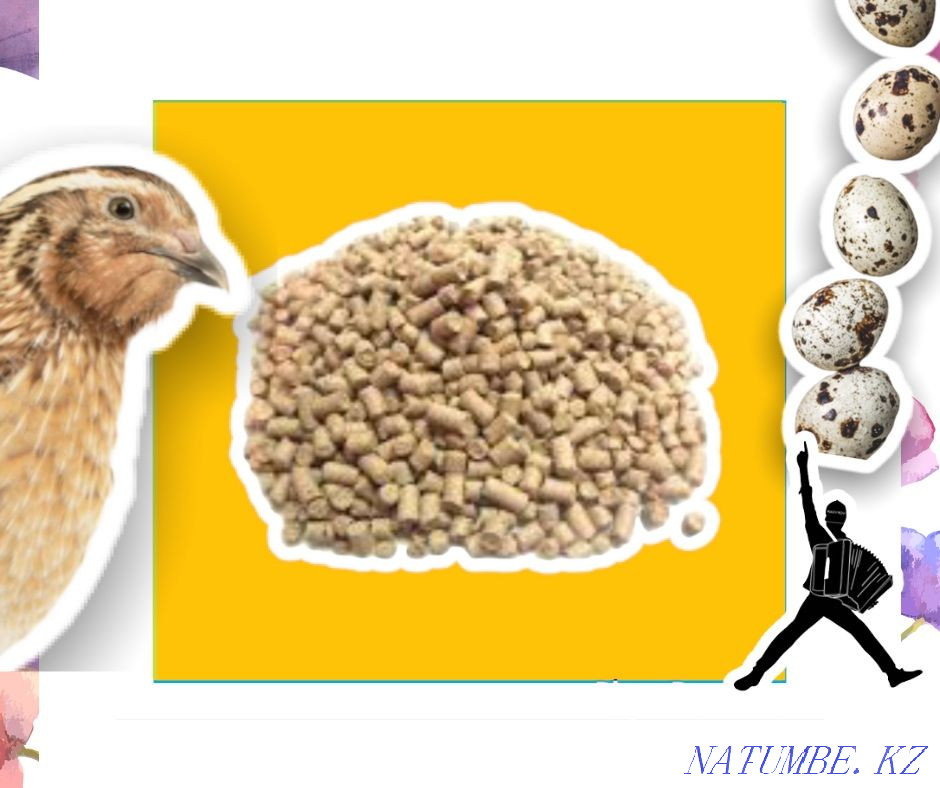 Compound feed for quails shipment across Kazakhstan Almaty - photo 2