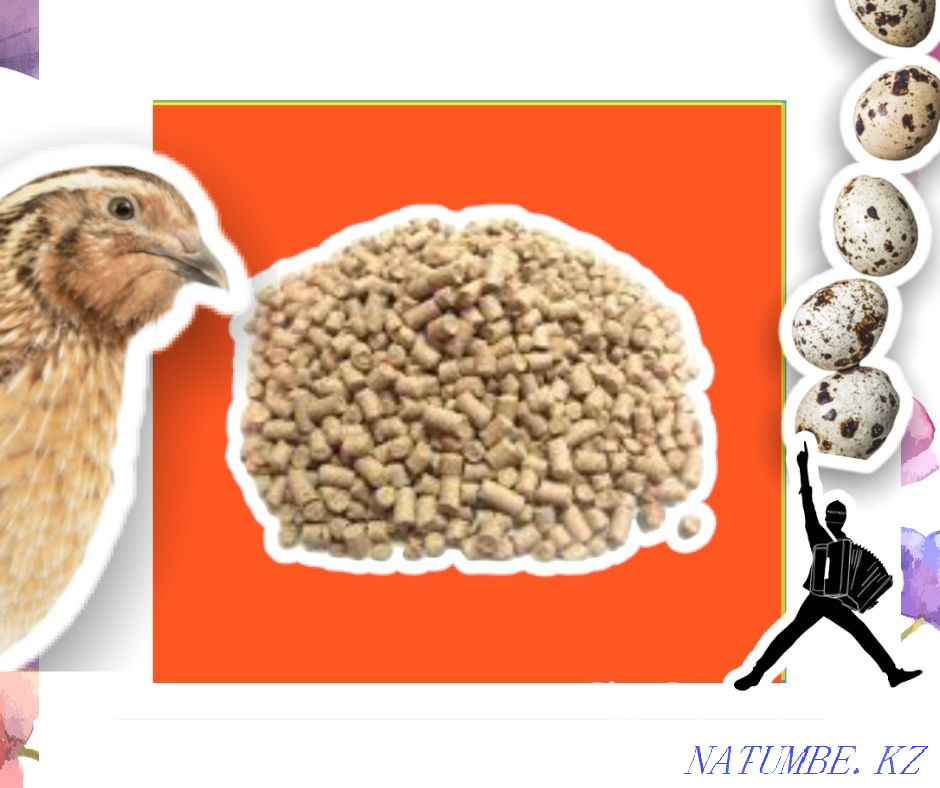 Compound feed for quails wholesale from half a ton Zhezqazghan - photo 1