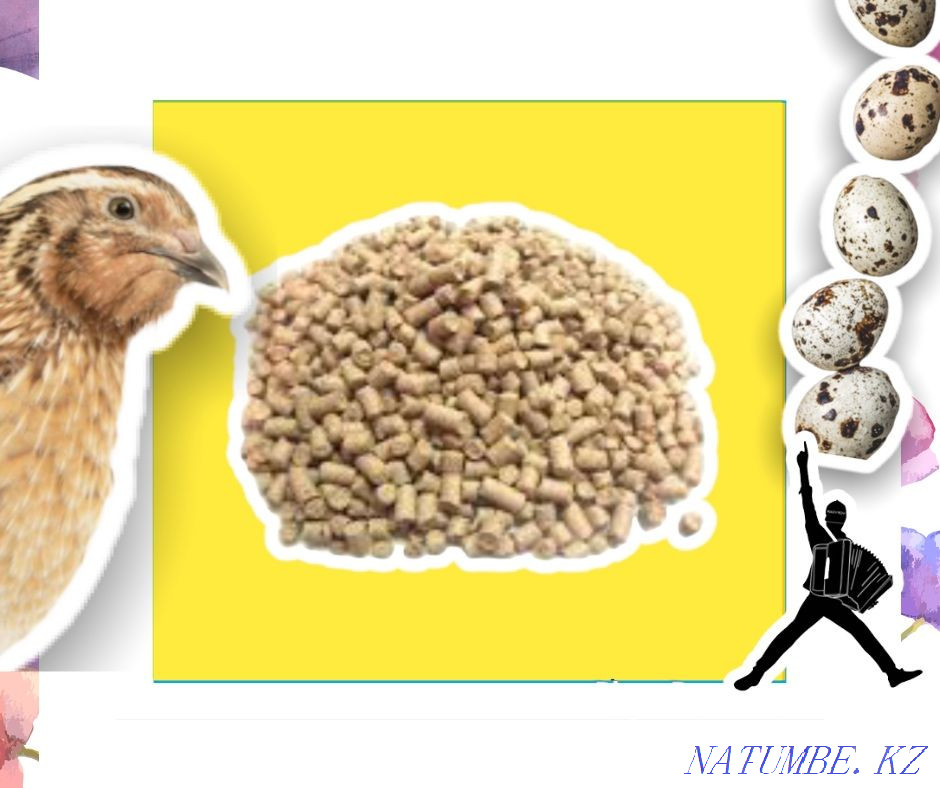Compound feed for quails wholesale from half a ton Zhezqazghan - photo 2