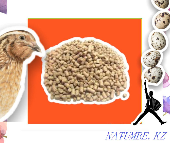 Compound feed for quails wholesale Astana - photo 2